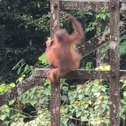 Das Baby klettert 😳