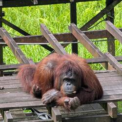 ... Etwas gelangweilt