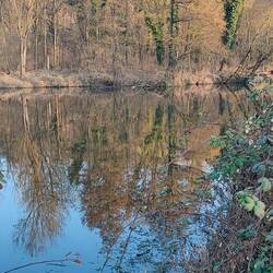 Die Saale in der Abendsonne