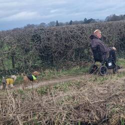 The dogs were good trotting along behind Vicky on the towpath