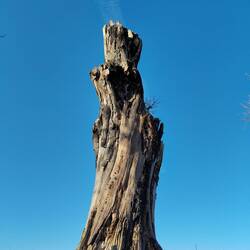 Look at that blue sky! It does help to lift the mood