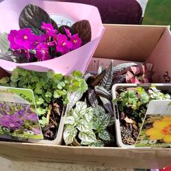 Vicky came away from Fairways Garden Centre with a lot more than planned 🙈