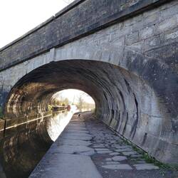 Evening sunshine and a backlit Pomeranian under Leek Old Road Bridge