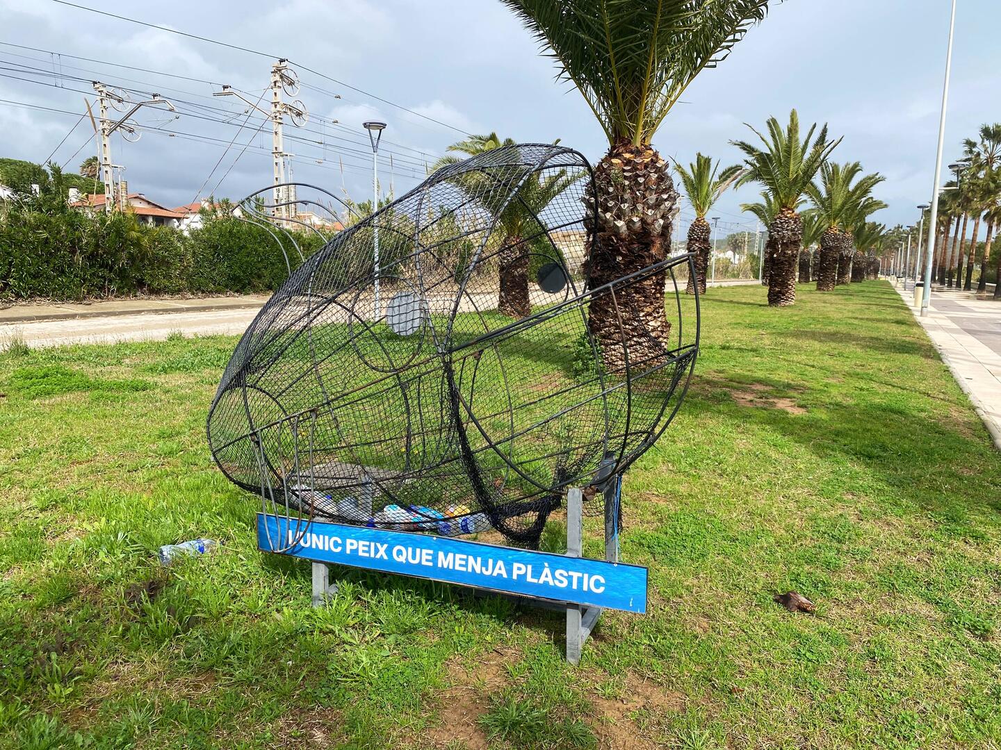 Fangfrisch ist der Fisch nicht, das Netz könnte mal erneuert werden.m