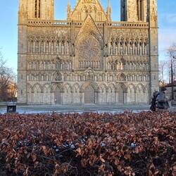 Nidarosdom Trondheim