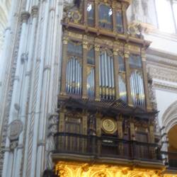 Cathedral organ