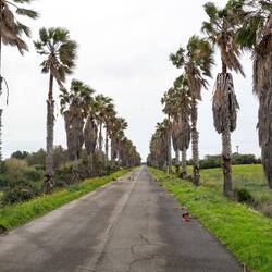 Unterwegs... Der Sturm hat ein wenig gewütet