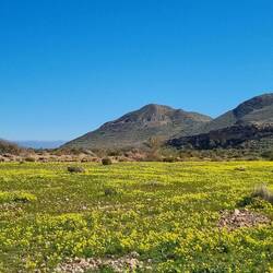 und an den Farben 🌼