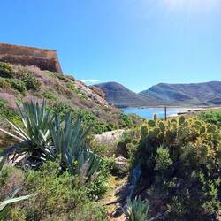 an der mediterranen Vegetation 🌵