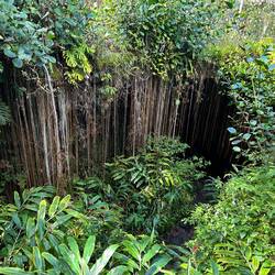 Der Eingang zu den Kaunama Caves