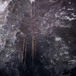 Wurzeln haben sich ihren Weg gebahnt