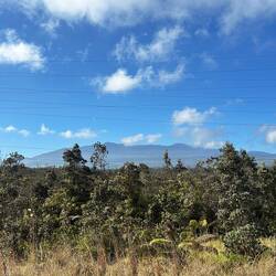 Da oben wollen wir hin
