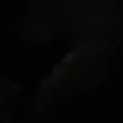 Unser allnächtlicher Vogelgesang...