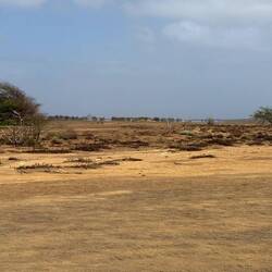 Terra Boa • Fata Morgana