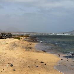 Shark Bay • Baía dos Tubarões