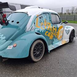 Rennkäfer, auf einer zufällig gefundenen Rennstrecke