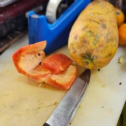Papaya.