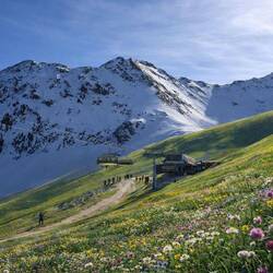 ... oder statt des Schnees eine Bergwiese? Nur die Skifahrer stehen noch an der Kante.