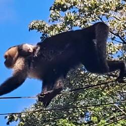 Mama mit ihrem Kind 😍