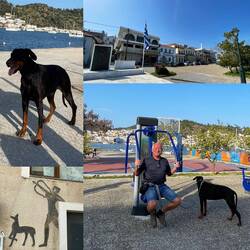 ..retour auf der Peloponnes Seite in Galatas 😉