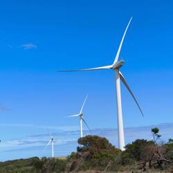 div. Windparks am Weg - stehen alle still 🧐