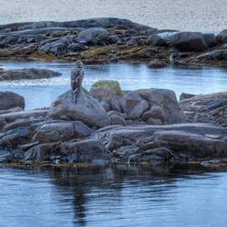 Heute waren es sogar zwei 🤗
