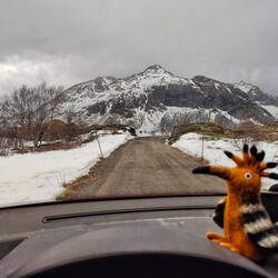 Mein Schotterweg ist frei und leider auch alle Schlaglöcher vorhanden.