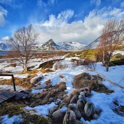 Mein Haustür Blick. Die ganzen Steine liegen wieder frei