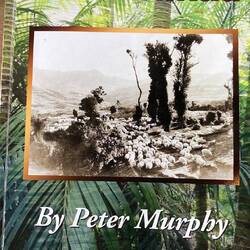 The Murphy family history book. A really interesting read