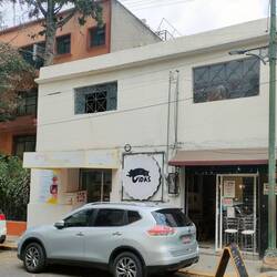 le véto pour chats, le bar à chats