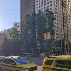 270 Touris und 2 Taxi