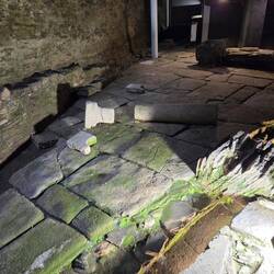 Part of the former house garden.