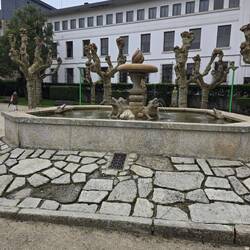 Frog fountain by the bus station.