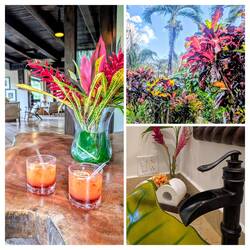 Ein tolles Resort. Da hätt's mir gfoin, aber nicht meine Preisklasse