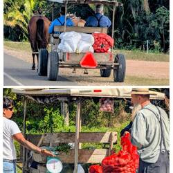 Mennoniten in Spanisch Lockout
