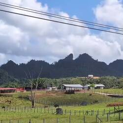 Entlang des Hummingbird Highway