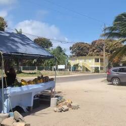 Karibik Feeling. Einfach lässig hier