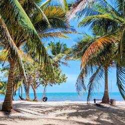 Am Campingplatz El Castillo in Hopkins.