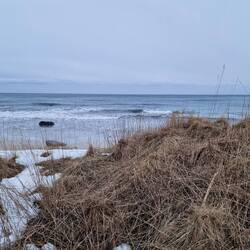 Blick aus dem Esszimmerfenster