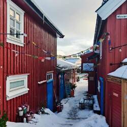 Henningsvaer 🏡