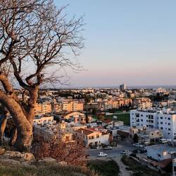 Blick über die Dächer von Paphos.