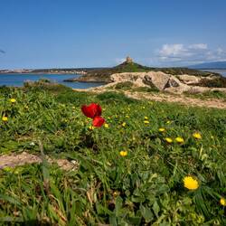 Selbst beim Fotografieren lassen sie einen nicht in Ruhe 😬