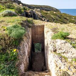 Man muss schon aufpassen wo man hintritt 😉