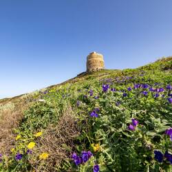 Torre di San Giovanni di Sinis