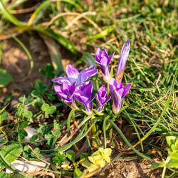 Überall kommt der Frühling zum Vorschein 😍