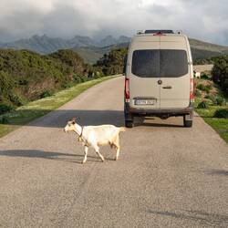 Begegnungen unterwegs 😅