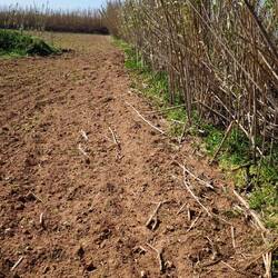 ... an Feldern vorbei.