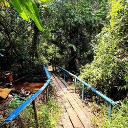 C'est parti pour la traversée de la jungle pour arriver de l'autre côté de l'île 🥳