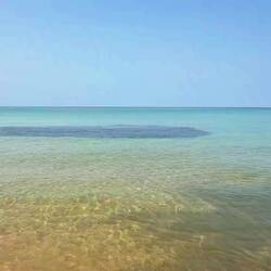 Greg fait son apnée au milieu d'un banc de poissons 😍❤️