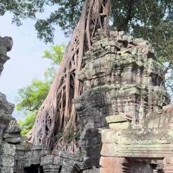 Le temple Prohm ou à été tourné "Tom Raider"